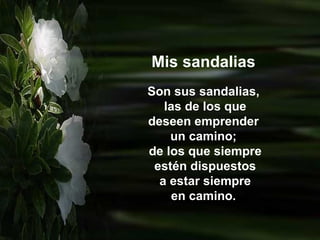 Mis sandalias Son sus sandalias, las de los que deseen emprender  un camino; de los que siempre estén dispuestos a estar siempre en camino.  