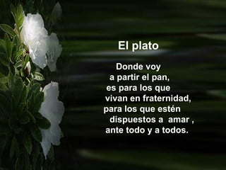 El plato Donde voy a partir el pan, es para los que  vivan en fraternidad, para los que estén dispuestos a  amar ,  ante todo y a todos. 