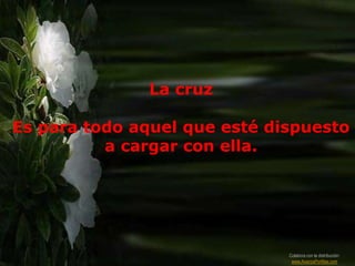 La cruz

Es para todo aquel que esté dispuesto
          a cargar con ella.




                              Colabora con la distribución:
                               www.AvanzaPorMas.com
 