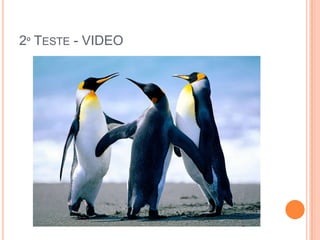 2º TESTE - VIDEO
 