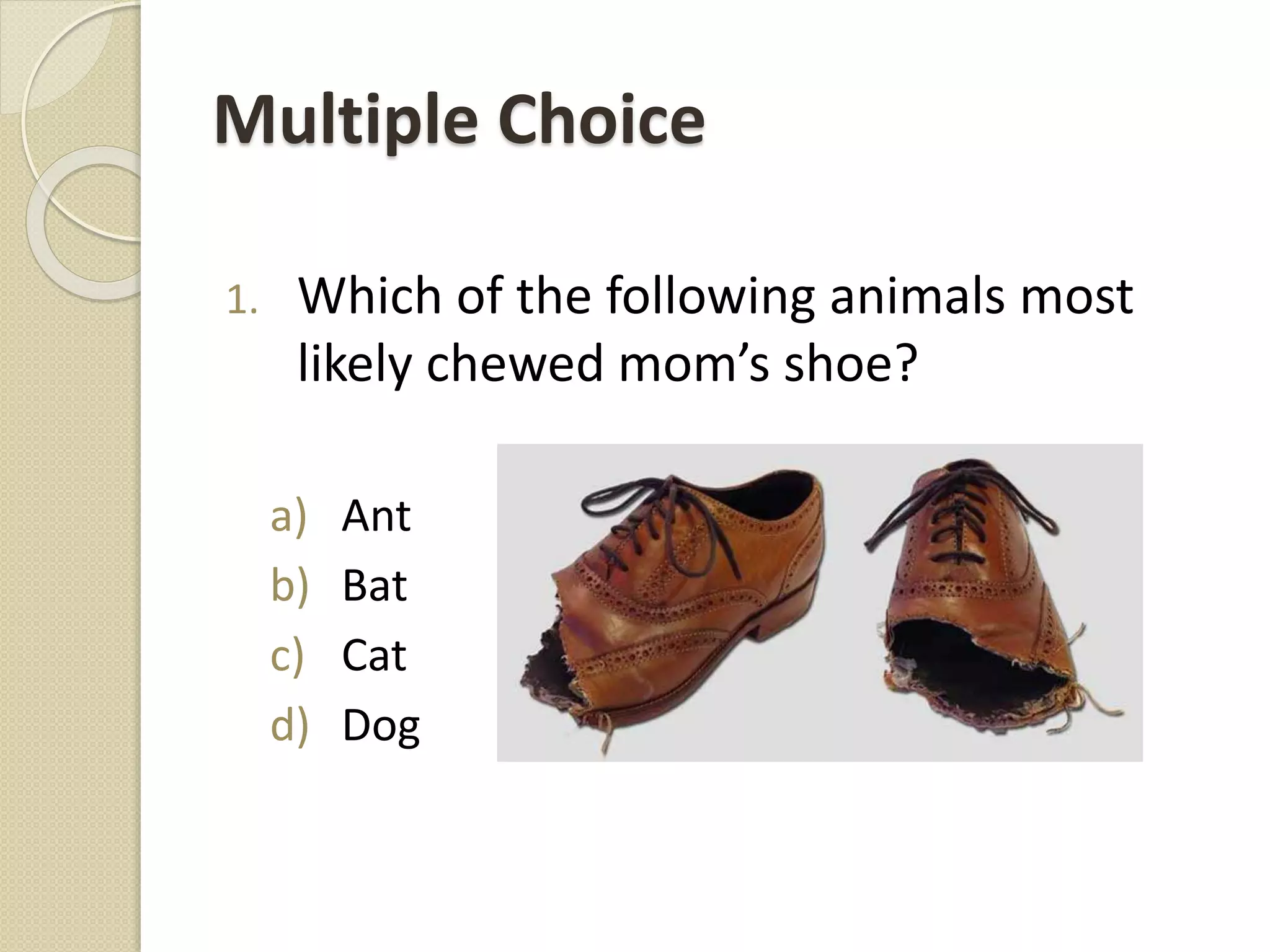 Multiple Choice
1. Which of the following animals most
likely chewed mom’s shoe?
a) Ant
b) Bat
c) Cat
d) Dog
 