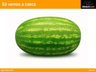 Só vemos a casca




Agile Brazil 2010   Slide 20
 