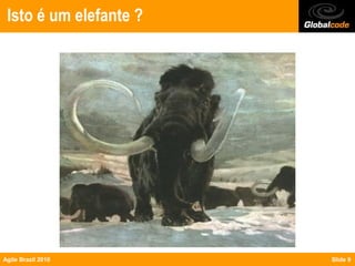 Isto é um elefante ?




Agile Brazil 2010       Slide 9
 