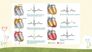 Test associated with cardiac disorder | PPTX