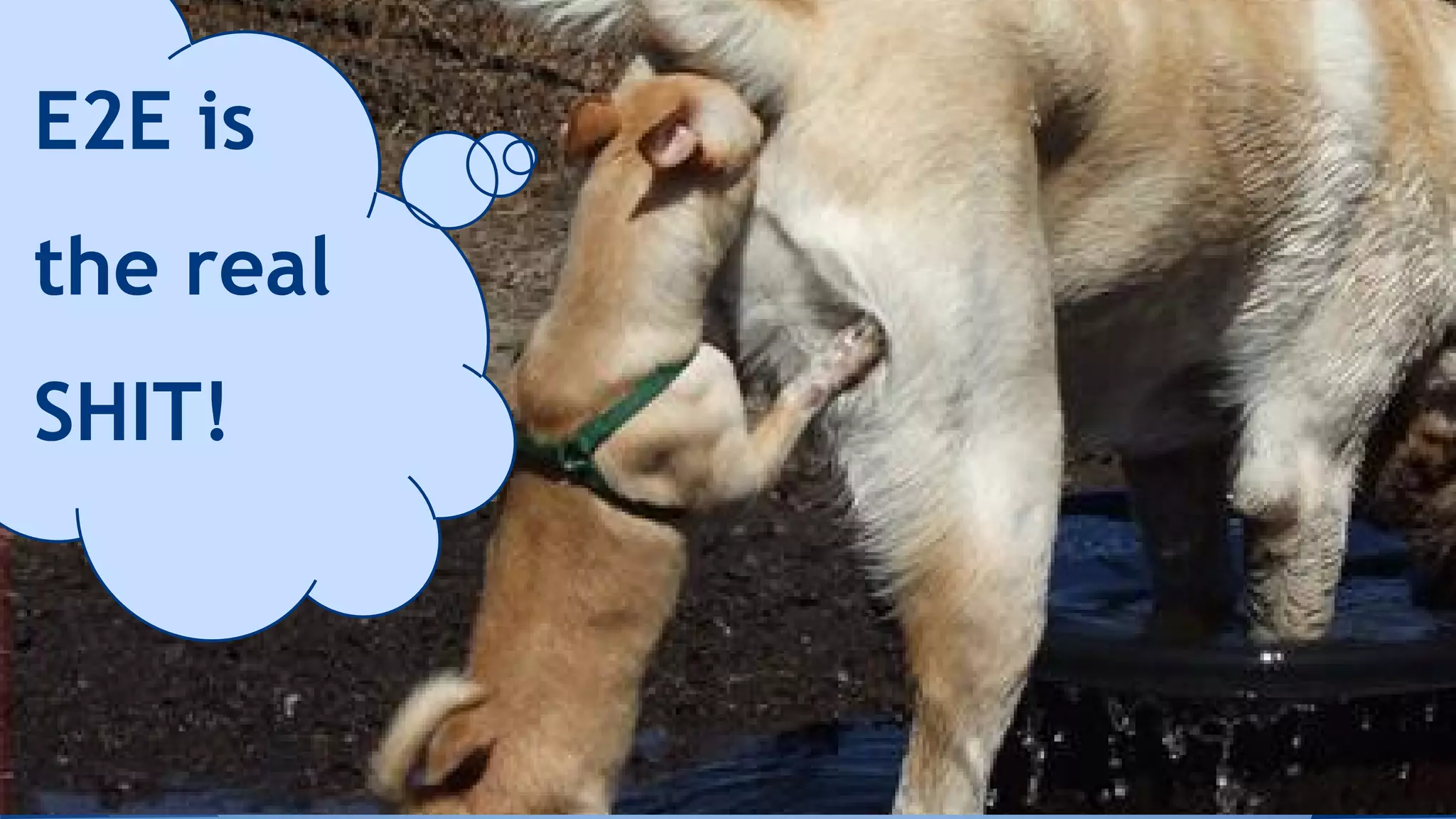 E2E is
the real
SHIT!
 