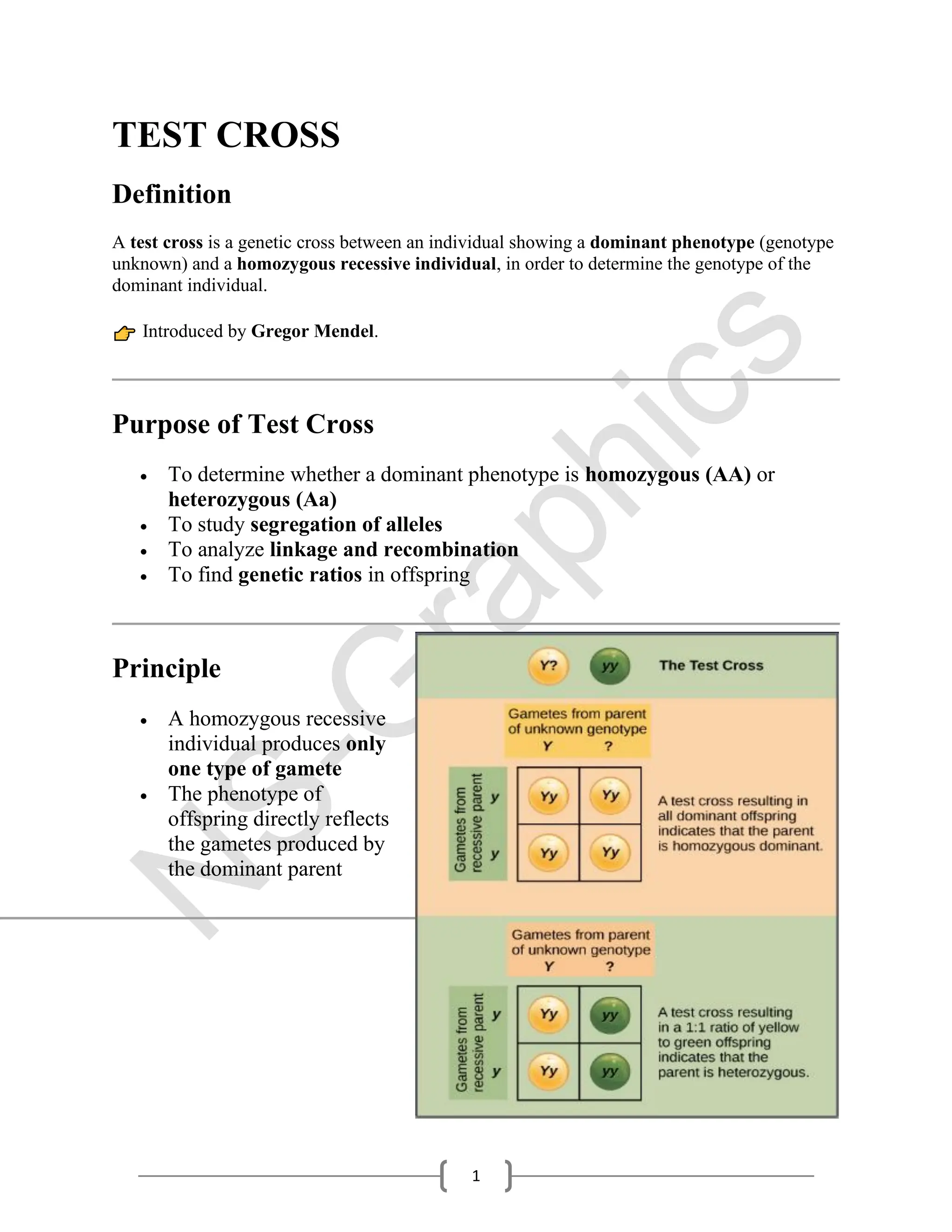TEST & BACK CROSS Pdf Notes for Students | PDF