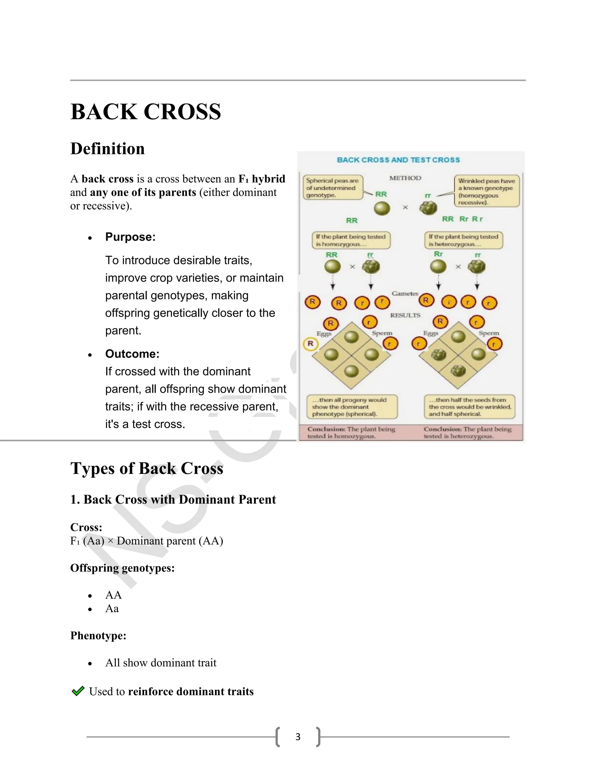 【原画②】ALL/DESCENDENTS RE-EXAM TEST & BACK CROSS Pdf Notes for Students | PDF