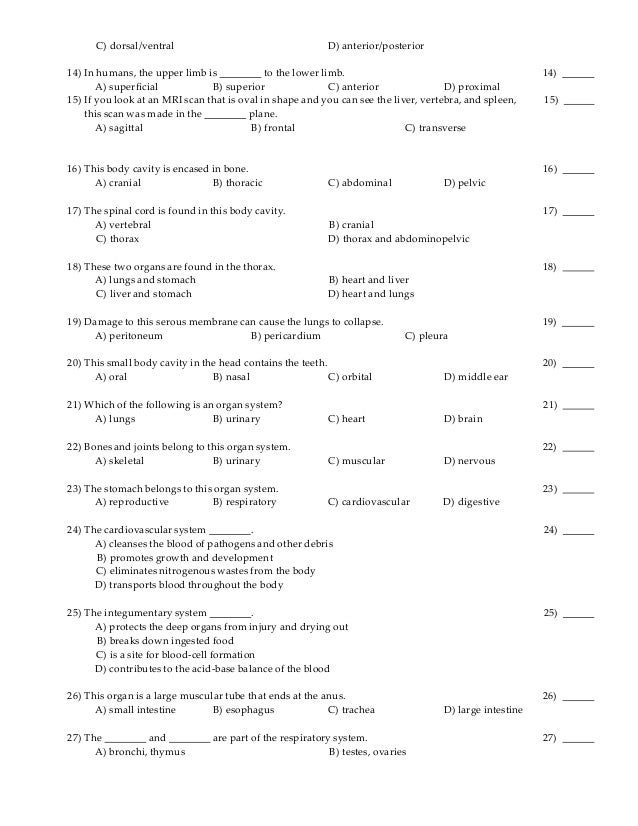 High school geography homework help High school geography homework help