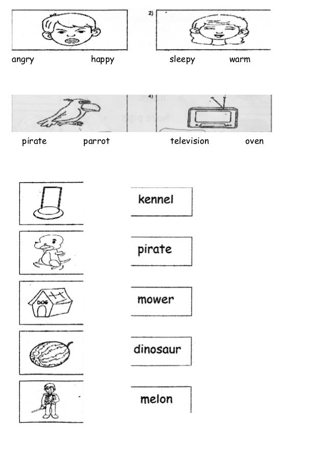 Test bi year 5