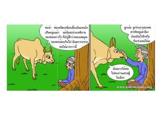 Test conun