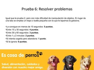Test de inteligencia canina (de Stanley Coren) | PPT