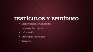 TESTÍCULOS Y EPIDÍDIMO
• Malformaciones Congénitas
• Cambios Regresivos
• Inflamación
• Problemas Vasculares
• Tumores
 