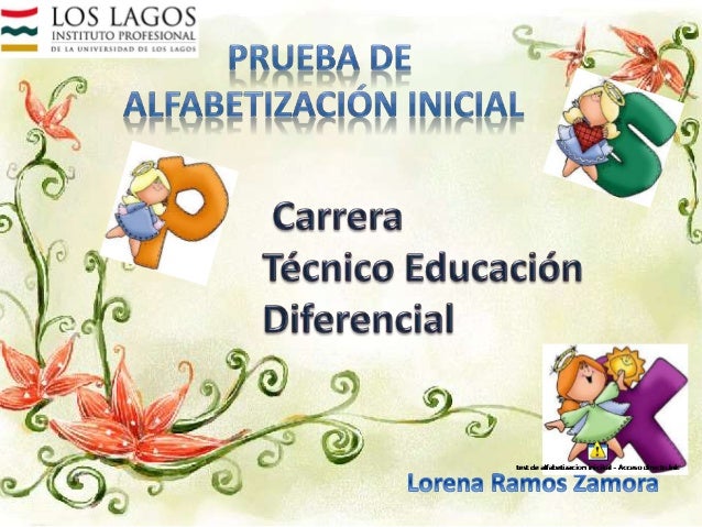 Alfabetización Inicial Malva Villalon Pdf Completo