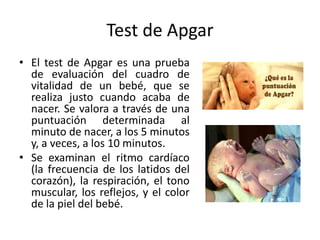 Test de Apgar
• El test de Apgar es una prueba
de evaluación del cuadro de
vitalidad de un bebé, que se
realiza justo cuando acaba de
nacer. Se valora a través de una
puntuación determinada al
minuto de nacer, a los 5 minutos
y, a veces, a los 10 minutos.
• Se examinan el ritmo cardíaco
(la frecuencia de los latidos del
corazón), la respiración, el tono
muscular, los reflejos, y el color
de la piel del bebé.

 