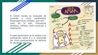 El recién nacido es evaluado de
acuerdo a cinco parámetros
fisioanatómicos simples, que son:
color de la piel, frecuencia
cardiaca, reflejos, tono muscular y
respiración.
A cada parámetro se le asigna una
puntuación entre 0 y 2, sumando
las cinco puntuaciones se obtiene
el resultado del test.
 