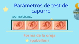 Javao Capirro Comprehensive Overview of the Capurro Test for Neonatal Gestational Age ...