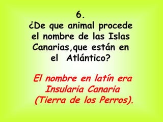 6.
¿De que animal procede
 el nombre de las Islas
 Canarias,que están en
      el Atlántico?

El nombre en latín era
   Insularia Canaria
(Tierra de los Perros).
 