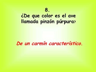 8.
  ¿De que color es el ave
  llamada pinzón púrpura?



De un carmín característico.
 