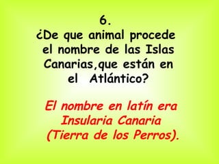 6.
¿De que animal procede
 el nombre de las Islas
 Canarias,que están en
      el  Atlántico?

 El nombre en latín era
    Insularia Canaria
 (Tierra de los Perros).
 