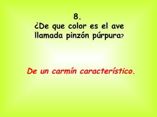 8.
  ¿De que color es el ave
  llamada pinzón púrpura?



De un carmín característico.
 