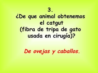 3.
¿De que animal obtenemos
         el catgut
 (fibra de tripa de gato
     usada en cirugía)?

  De ovejas y caballos. 
 