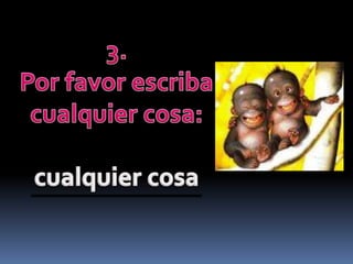 Test de inteligencia frpt