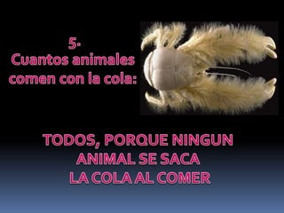 Test de inteligencia frpt