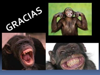 Test de inteligencia frpt