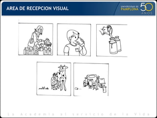 AREA DE RECEPCION VISUAL
 