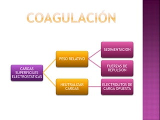 SEDIMENTACION

                  PESO RELATIVO
                                    FUERZAS DE
    CARGAS                          REPULSION
  SUPERFICILES
ELECTROSTATICAS

                  NEUTRALIZAR     ELECTROLITOS DE
                    CARGAS         CARGA OPUESTA
 