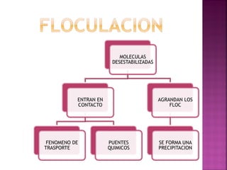 MOLECULAS
                        DESESTABILIZADAS




           ENTRAN EN                       AGRANDAN LOS
           CONTACTO                            FLOC




 FENOMENO DE           PUENTES             SE FORMA UNA
TRASPORTE              QUIMICOS            PRECIPITACION
 