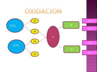 OH           H2O
H 2O 2               B
                         co2
            OH

                 A
            OH
                         H2O
   H 2O 2
                     B
                         co2
            OH
 