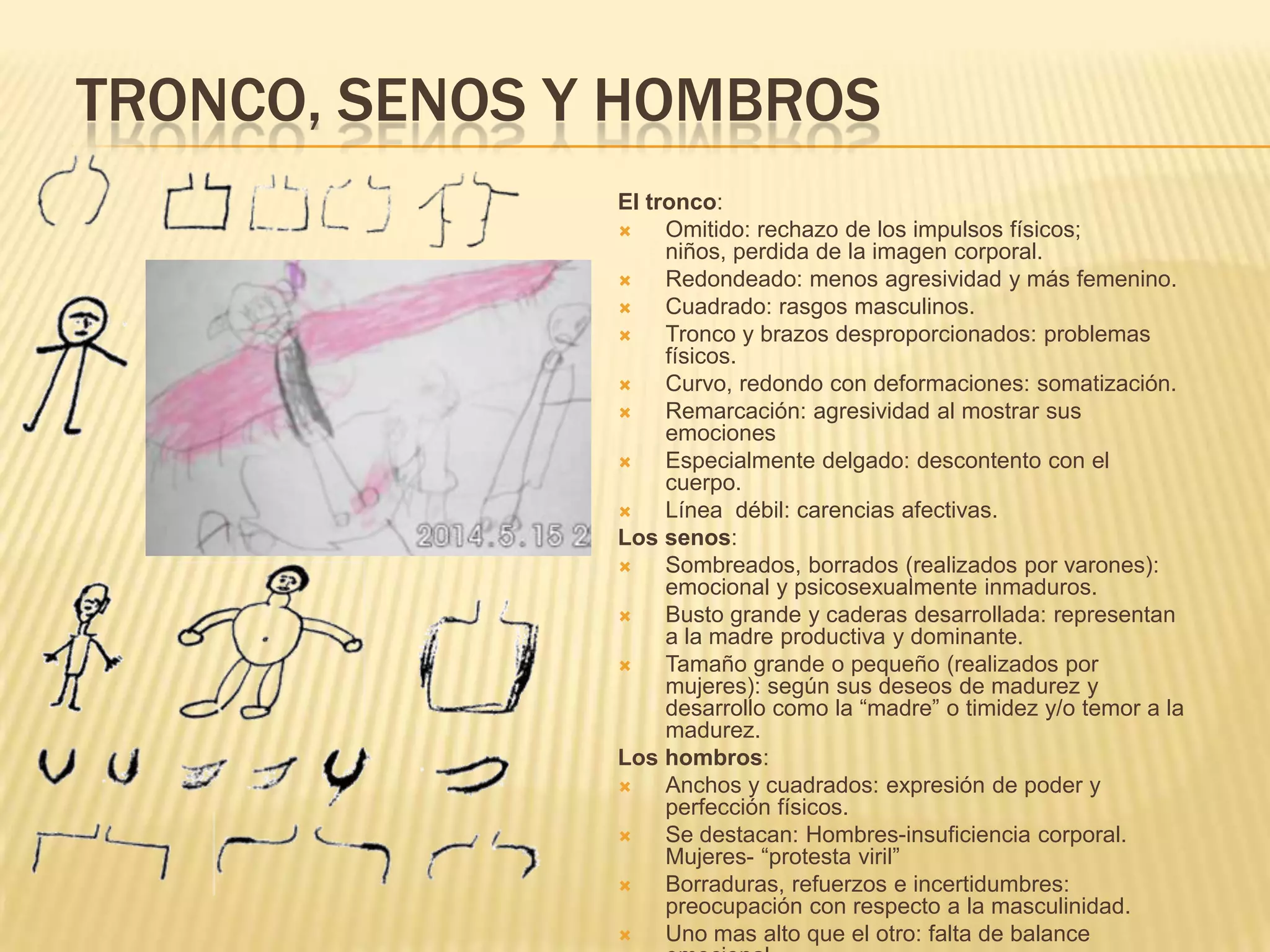 TRONCO, SENOS Y HOMBROS
El tronco:
 Omitido: rechazo de los impulsos físicos;
niños, perdida de la imagen corporal.
 Redondeado: menos agresividad y más femenino.
 Cuadrado: rasgos masculinos.
 Tronco y brazos desproporcionados: problemas
físicos.
 Curvo, redondo con deformaciones: somatización.
 Remarcación: agresividad al mostrar sus
emociones
 Especialmente delgado: descontento con el
cuerpo.
 Línea débil: carencias afectivas.
Los senos:
 Sombreados, borrados (realizados por varones):
emocional y psicosexualmente inmaduros.
 Busto grande y caderas desarrollada: representan
a la madre productiva y dominante.
 Tamaño grande o pequeño (realizados por
mujeres): según sus deseos de madurez y
desarrollo como la “madre” o timidez y/o temor a la
madurez.
Los hombros:
 Anchos y cuadrados: expresión de poder y
perfección físicos.
 Se destacan: Hombres-insuficiencia corporal.
Mujeres- “protesta viril”
 Borraduras, refuerzos e incertidumbres:
preocupación con respecto a la masculinidad.
 Uno mas alto que el otro: falta de balance
 
