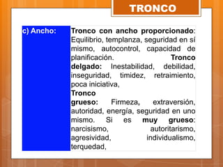 c) Ancho: Tronco con ancho proporcionado:
Equilibrio, templanza, seguridad en sí
mismo, autocontrol, capacidad de
planificación. Tronco
delgado: Inestabilidad, debilidad,
inseguridad, timidez, retraimiento,
poca iniciativa,
Tronco
grueso: Firmeza, extraversión,
autoridad, energía, seguridad en uno
mismo. Si es muy grueso:
narcisismo, autoritarismo,
agresividad, individualismo,
terquedad,
TRONCO
 