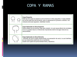 COPA Y RAMAS
 