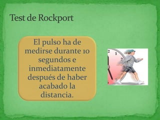 El pulso ha de
medirse durante 10
   segundos e
 inmediatamente
después de haber
   acabado la
    distancia.
 