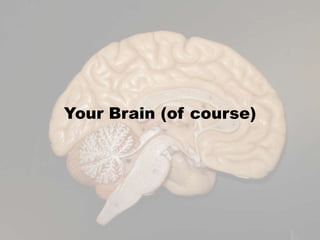 Your Brain (of course)