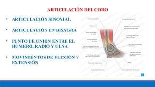 TEST DE VALORACION PARA CODO ASPECTOS IMPORTANTES | PPTX