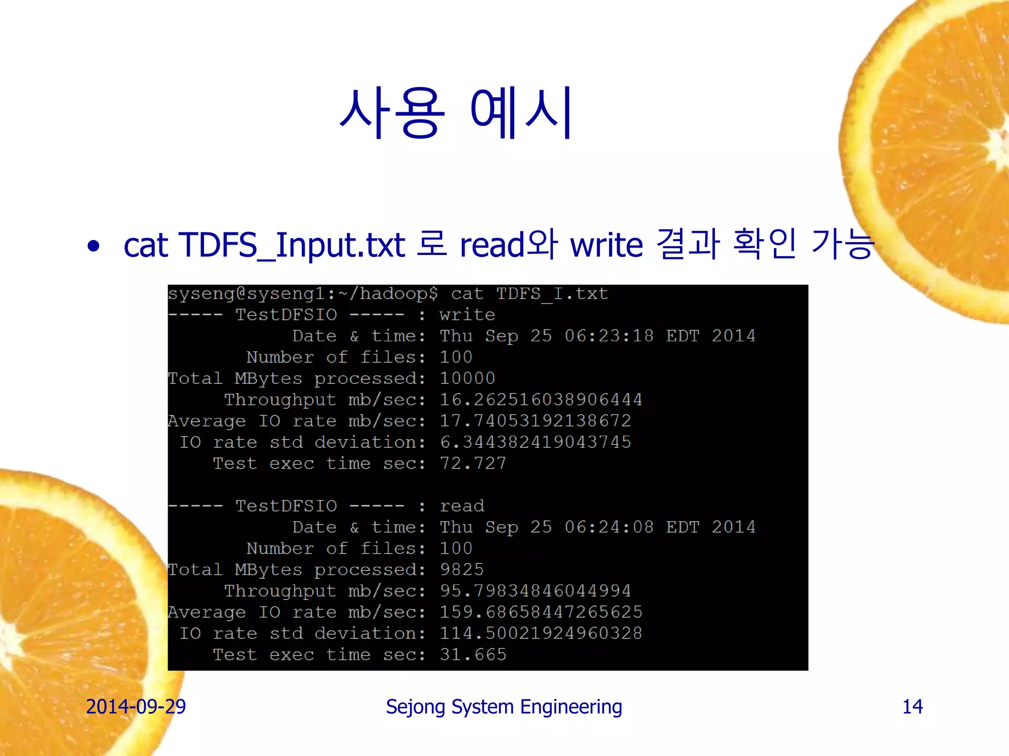 사용 예시 
•cat TDFS_Input.txt 로 read와 write 결과 확인 가능 
2014-10-02 
Sejong System Engineering 
14  