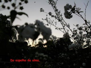Do espelho da alma,
 