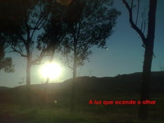 A luz que acende o olhar
 