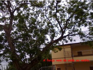 A força vem de onde eu venho,
 