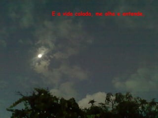 E a vida calada, me olha e entende,
 