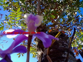 O amor que a gente não via
 