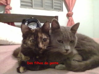 Dos filhos da gente,
 