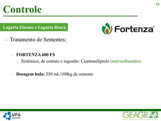 Lagarta Elasmo e Lagarta Rosca
Controle
14
- Tratamento de Sementes;
- FORTENZA 600 FS
- Sistêmico, de contato e ingestão: Ciantraniliprole (antranilamida).
- Dosagem bula: 350 mL/100kg de semente
 