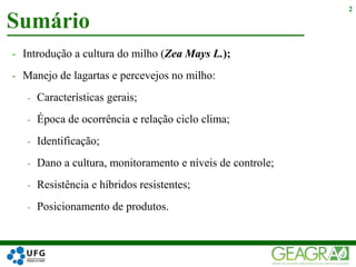 - Introdução a cultura do milho (Zea Mays L.);
- Manejo de lagartas e percevejos no milho:
- Características gerais;
- Época de ocorrência e relação ciclo clima;
- Identificação;
- Dano a cultura, monitoramento e níveis de controle;
- Resistência e híbridos resistentes;
- Posicionamento de produtos.
Sumário
2
 