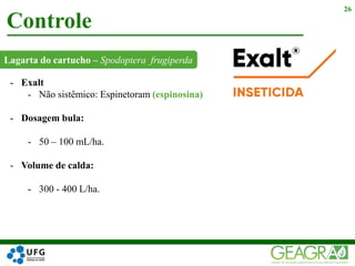 Lagarta do cartucho – Spodoptera frugiperda
Controle
26
- Exalt
- Não sistêmico: Espinetoram (espinosina)
- Dosagem bula:
- 50 – 100 mL/ha.
- Volume de calda:
- 300 - 400 L/ha.
 