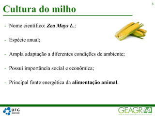 - Nome científico: Zea Mays L.;
- Espécie anual;
- Ampla adaptação a diferentes condições de ambiente;
- Possui importância social e econômica;
- Principal fonte energética da alimentação animal.
Cultura do milho
3
 