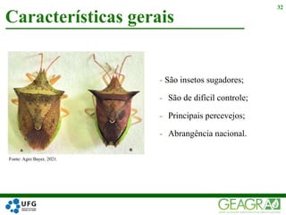 - São insetos sugadores;
- São de difícil controle;
- Principais percevejos;
- Abrangência nacional.
Características gerais
32
Fonte: Agro Bayer, 2021.
 